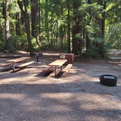Huckleberry Flat #3