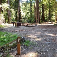 Huckleberry Flat #5