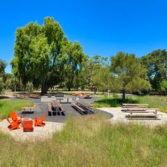 Flood Park - Bay Picnic Area
