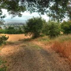 Meadow Vista Trail