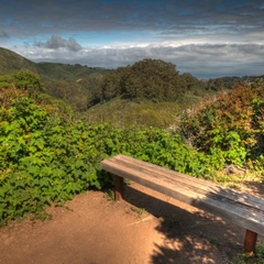 Hazelnut Trail Photo