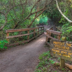 Plaskon Nature Trail Photo