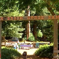 Jack Brook Horse Camp Area 2 Photo