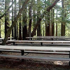 redwood_picnic_area_2_0.jpg