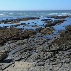 low tide 