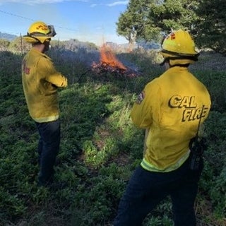 Fire Vegetation Management Personnel